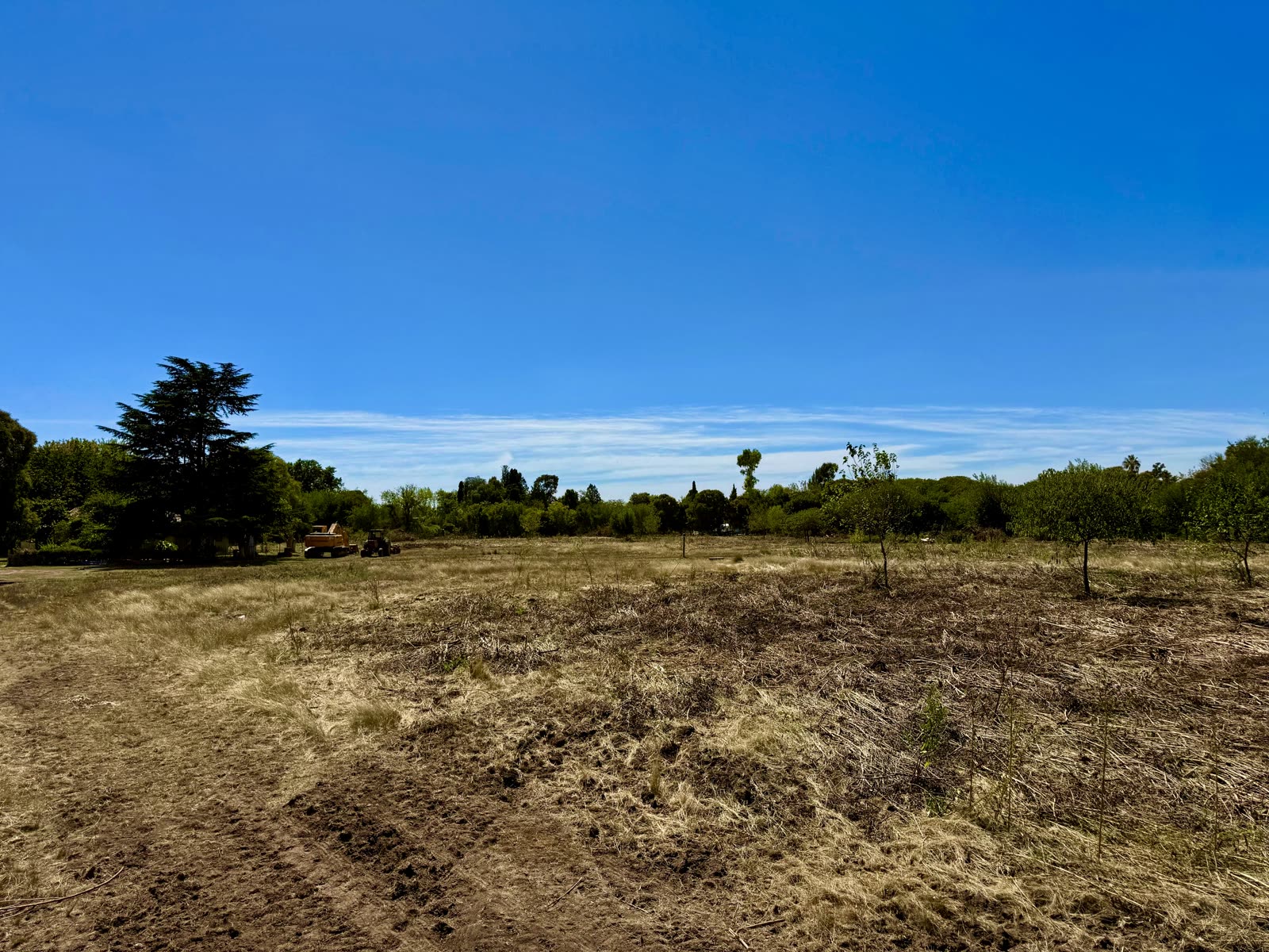 Vista campo abierto