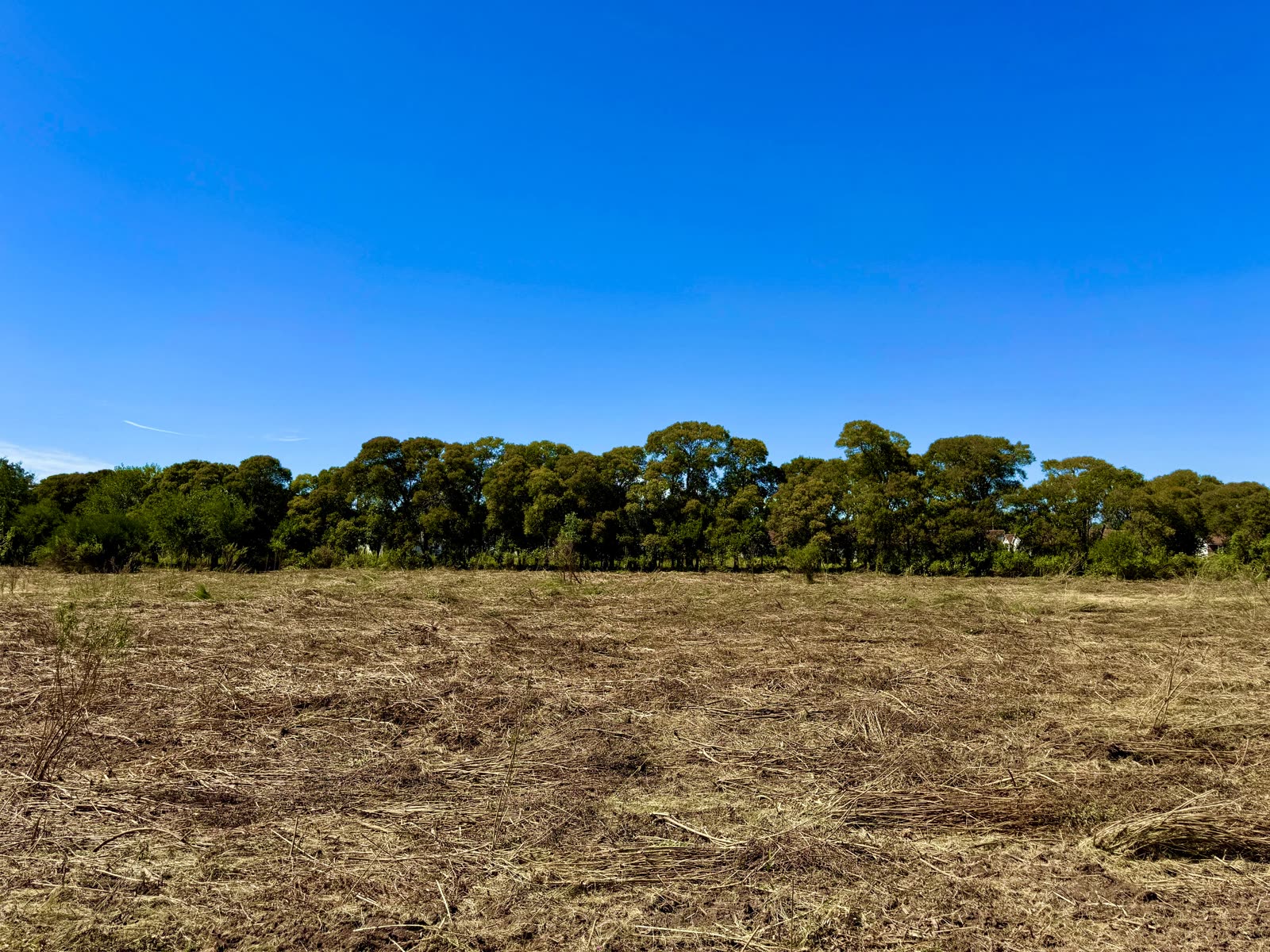 Vista panorámica drone